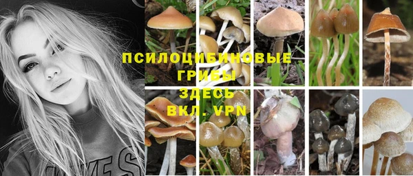 мескалин Наволоки