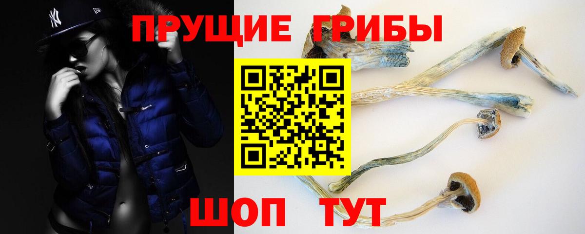 Псилоцибиновые грибы MAGIC MUSHROOMS Челябинск
